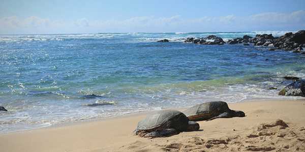 Top 10 Things To Do On Oahu, Hawaii In 2025