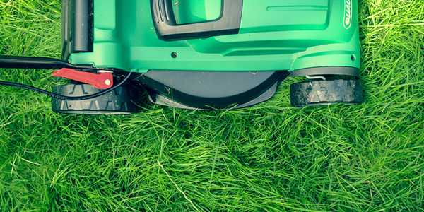 Lawn Mower Buying Guide For 2025: Types And Maintenance Tips