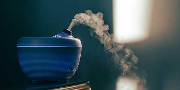 6 Best Essential Oil Diffuser of 2025: Types, Brands and Prices