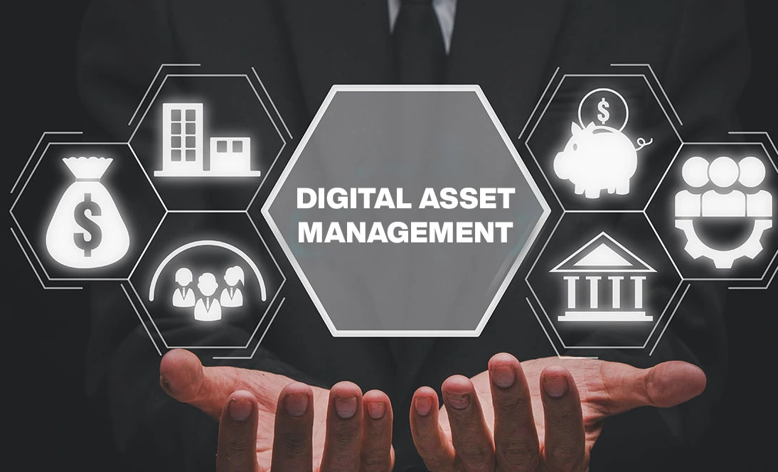Unleashing Business Potential with Asset Management Software